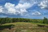 Land for sale in Ban Luang, Chiang Mai
