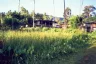 Land for sale in Ang Thong, Surat Thani