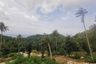3 Bedroom Villa for sale in Anara & Lumara Villas, Ko Pha-ngan, Surat Thani