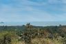 Land for sale in Ang Thong, Surat Thani