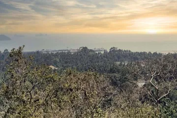 Land for sale in Ang Thong, Surat Thani