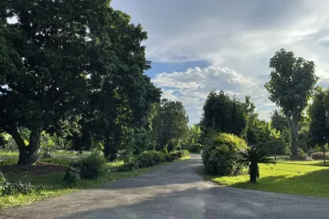 Land for sale in Chang Phueak, Chiang Mai