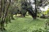 Land for sale in Chang Phueak, Chiang Mai