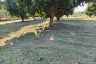 Land for sale in Pak Nam Pran, Prachuap Khiri Khan