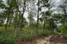 Land for sale in Mae Raem, Chiang Mai