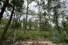 Land for sale in Mae Raem, Chiang Mai
