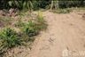 Land for sale in Mae Nam, Surat Thani