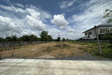 Land for sale in Buak Khang, Chiang Mai