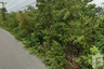 Land for sale in Na Yang, Phetchaburi