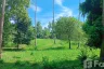 Land for sale in Mae Nam, Surat Thani