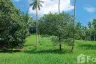 Land for sale in Mae Nam, Surat Thani