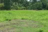 Land for sale in Mae Nam, Surat Thani