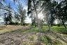 Land for sale in Phong Prasat, Prachuap Khiri Khan