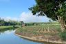 Land for sale in Cho Lae, Chiang Mai