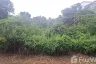 Land for sale in Nong Khwai, Chiang Mai