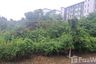 Land for sale in Nong Khwai, Chiang Mai