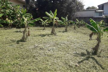 Land for sale in Bo Phut, Surat Thani