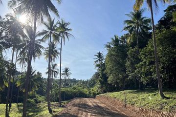 Land for sale in Mae Nam, Surat Thani