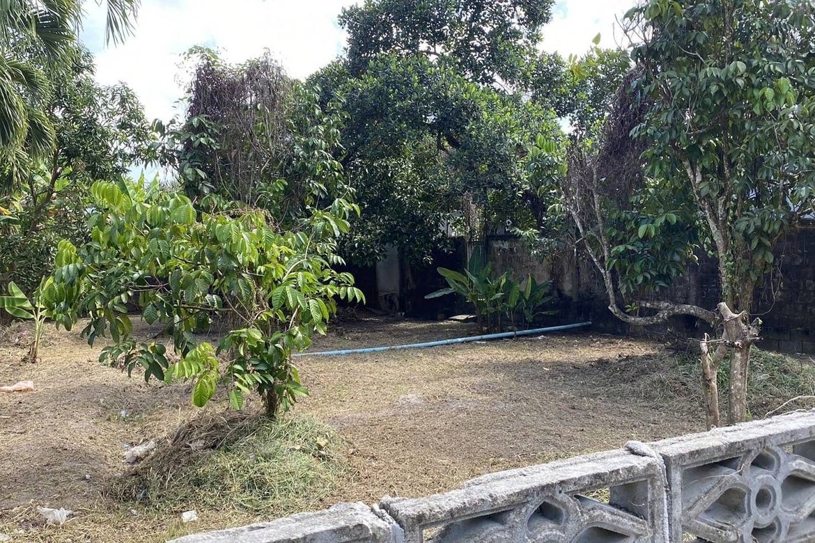 Thalang, Phuket - Photo 2