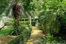 1 Bedroom House for rent in Original Dockkhun, Rawai, Phuket