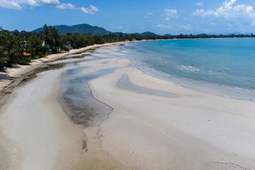 Land for sale in Lipa Noi, Surat Thani