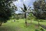 Land for sale in Maret, Surat Thani
