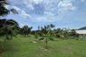 Land for sale in Maret, Surat Thani