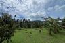 Land for sale in Maret, Surat Thani