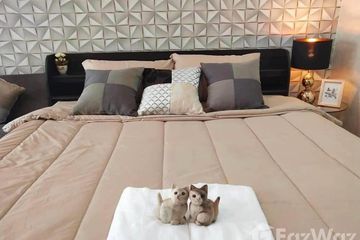 Condo for rent in Siritara Condominium, Mae Hia, Chiang Mai