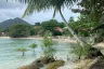 Land for sale in 
