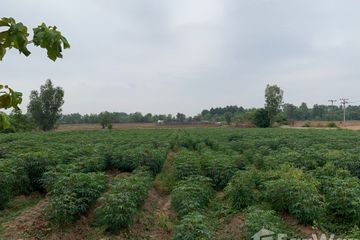 Land for sale in Na Bua, Surin