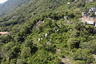 Land for sale in Maret, Surat Thani