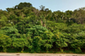 Land for sale in Mae Nam, Surat Thani