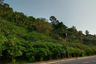 Land for sale in Mae Nam, Surat Thani