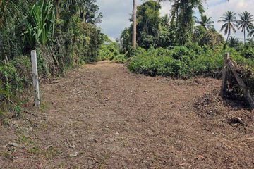Land for sale in Taling Ngam, Surat Thani