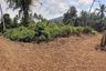 Land for sale in Taling Ngam, Surat Thani