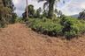 Land for sale in Taling Ngam, Surat Thani
