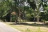 Land for sale in Ang Thong, Surat Thani