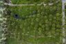 Land for sale in Ang Thong, Surat Thani