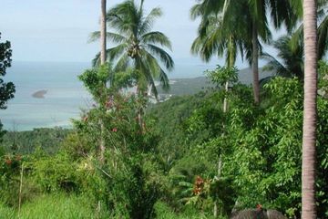 Land for sale in Maret, Surat Thani