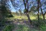 Land for sale in Mae Ramphueng, Prachuap Khiri Khan