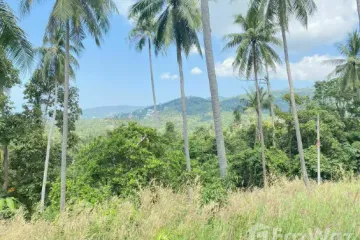 Land for sale in Lipa Noi, Surat Thani