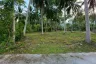 Land for sale in Mae Nam, Surat Thani