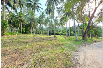 Land for sale in Mae Nam, Surat Thani