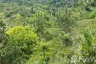 Land for sale in Ang Thong, Surat Thani