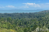 Land for sale in Ang Thong, Surat Thani