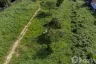 Land for sale in Mae Nam, Surat Thani