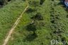 Land for sale in Mae Nam, Surat Thani