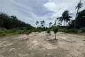 Land for sale in Na Mueang, Surat Thani