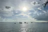 Land for sale in Ang Thong, Surat Thani
